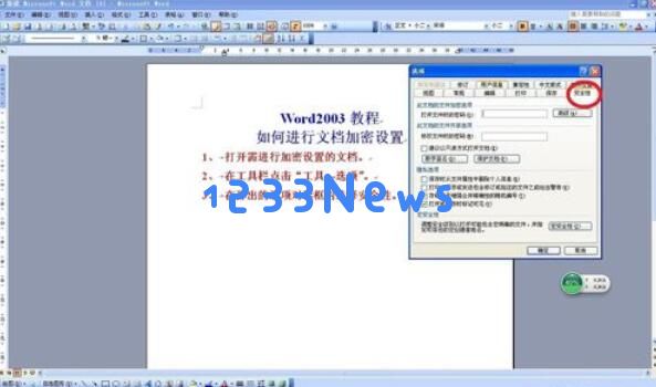 word2003设置密码的详细步骤