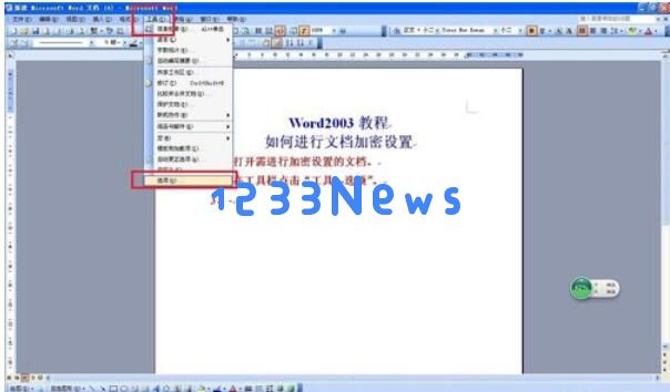 word2003设置密码的详细步骤