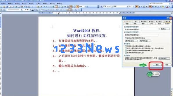 word2003设置密码的详细步骤