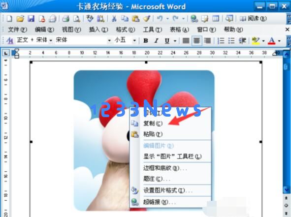 word2003中图片导出的操作步骤