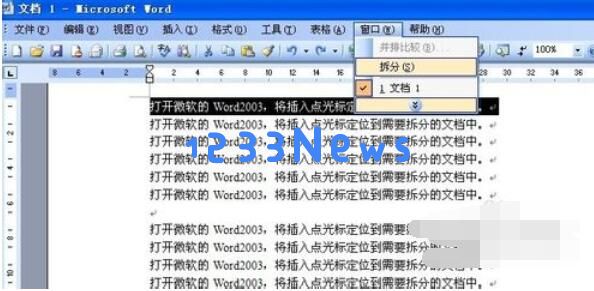 word2003拆分窗口的操作步骤