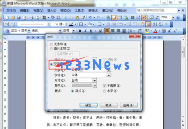 word2003文档添加水印的方法介绍